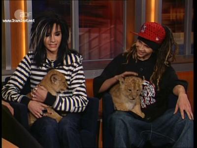 bill en tom met leeuwtjes