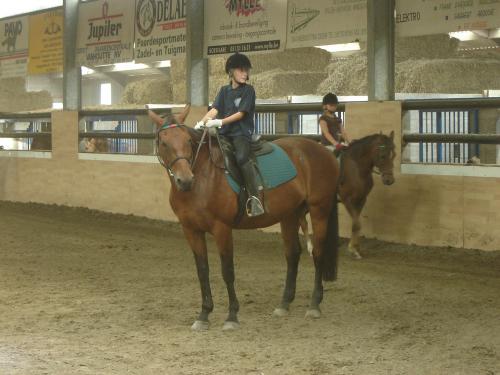 ik op een manege paard