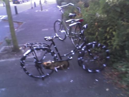 fiets die ik heb gespoten