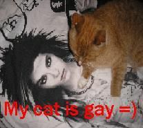 My cat is gay, xD
