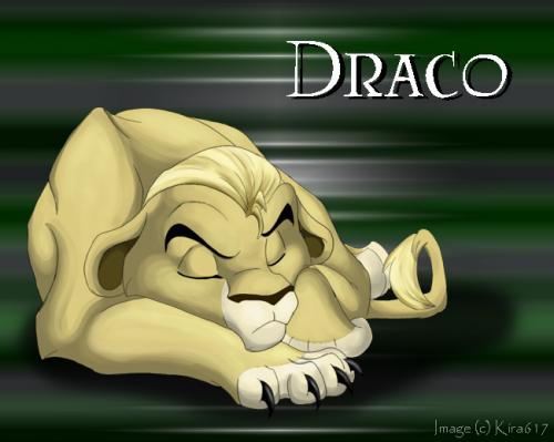 lion draco