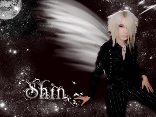 shin