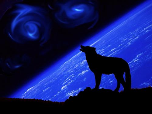 Endless howl in the night!!!!!