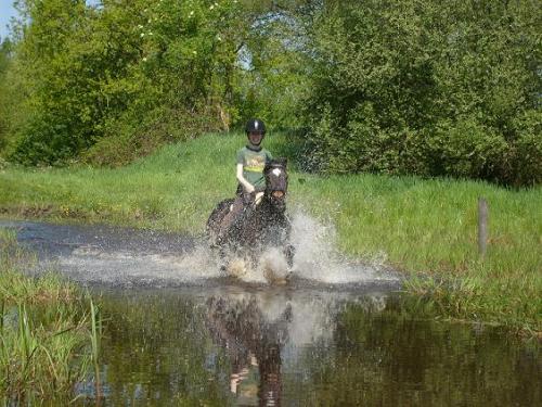 Boy door de waterbak