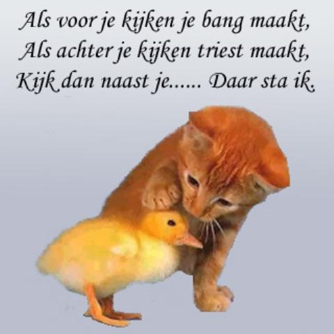 True friendship^^