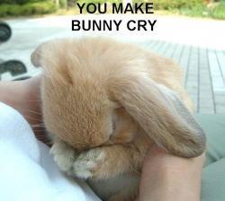 you make my bunny cry!