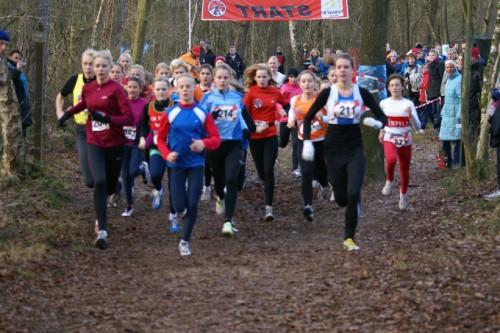 Friese cross competitie steenwijk woldberg.