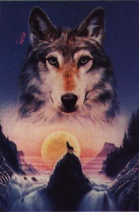 spirit of the wolfs