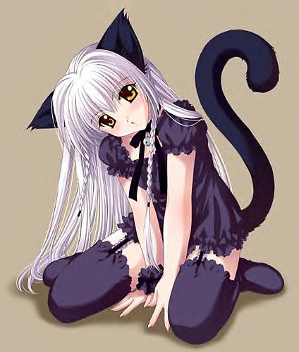 cute cat girl