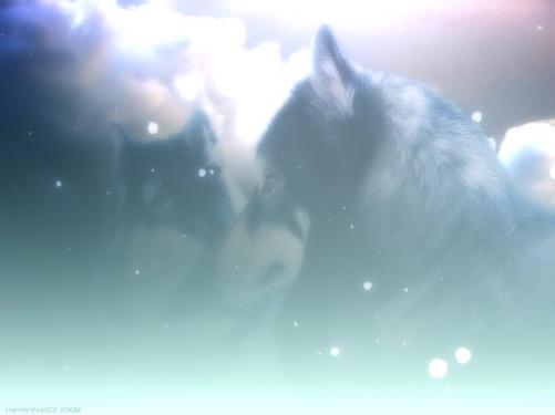 winter wolves