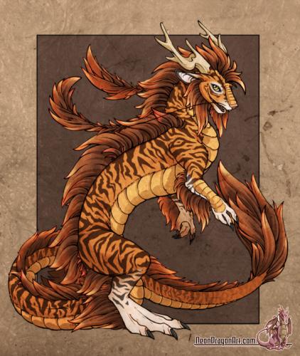 TigerDragon^^