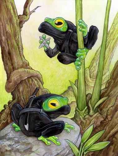 Ninja frogs