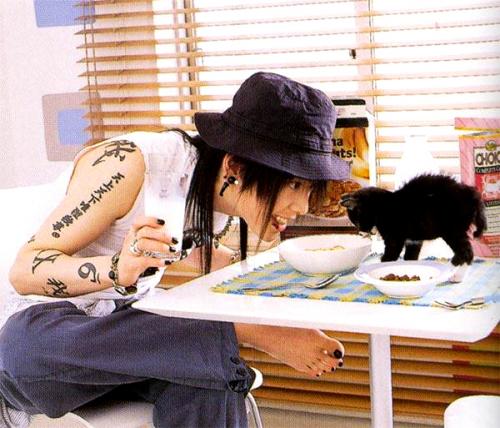 Miyavi&kitten#3