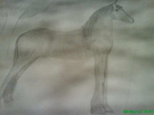 Paard dat ik heb getekend voor school opdracht x3