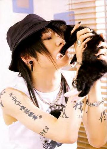 Miyavi&kitten#2