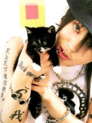 Miyavi&kitten#4