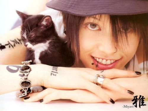 Miyavi&kitten#1