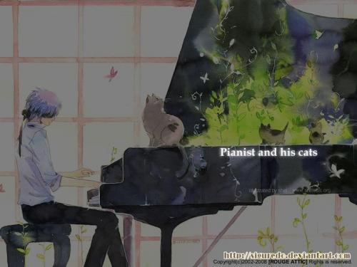 The Pianist and his Cats