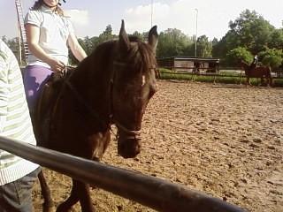 Shadow(L)Iloveyouu wil je nooit meer kwijt(L)