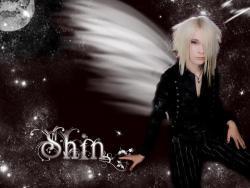 Shin angel