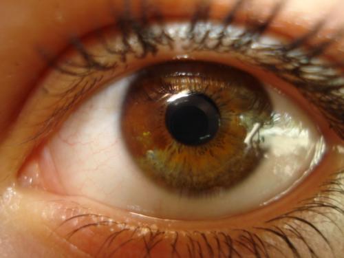 MY! eye, 4 colours, 3/4 green 1/4 brown, yellow, black.