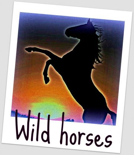 Wild horses...