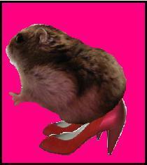 Hamsters Next TopModel