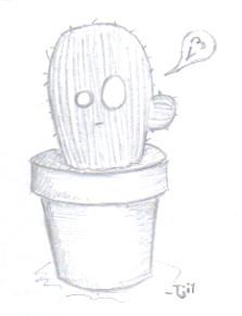 CactusJ