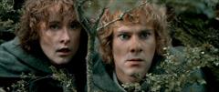 Pippin and Merry<33