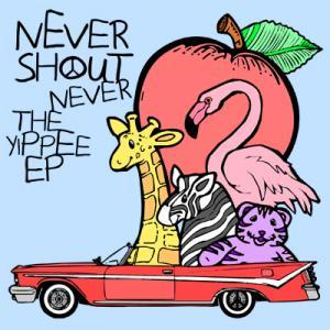 Nevershoutnever