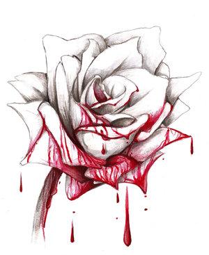 bloody rose