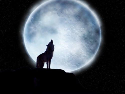 the wolf inside me howls at the moon...