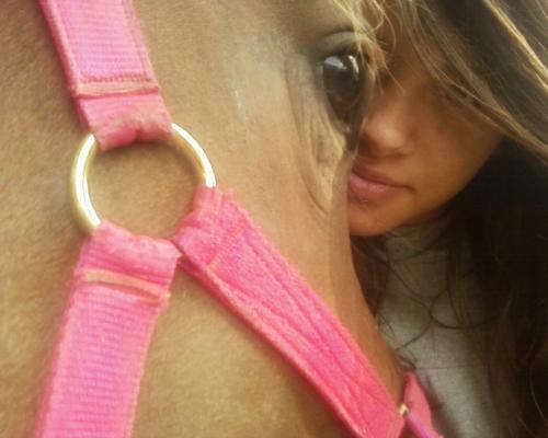 Horsee <3