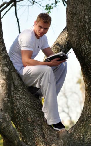 in the tree, reading a book!