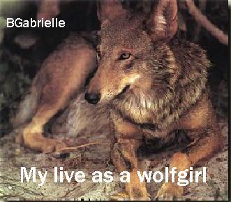 Foto bij My live as a wolfegirl van Broeeekieeeee