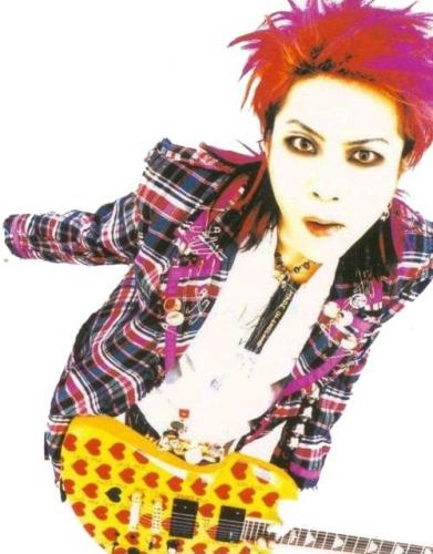 Hide