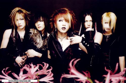 The Gazette