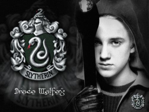 draco <3