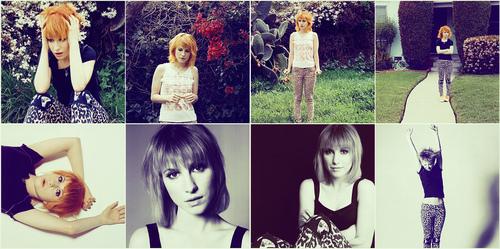 Hayley Williams <3