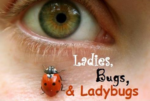 Cover Ladies, Bugs & Ladybugs