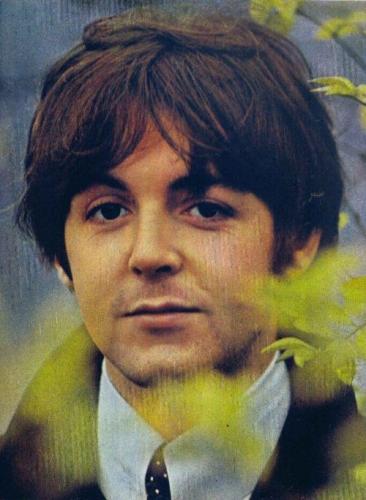 paul mccartney