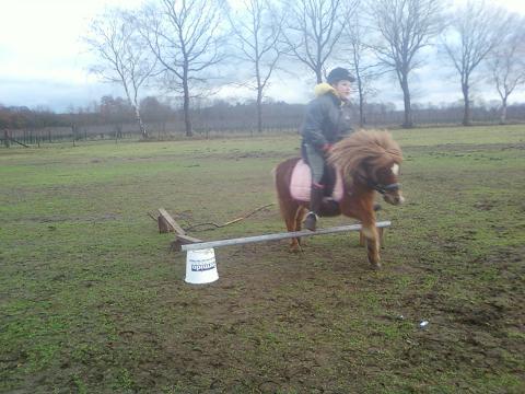 |Mijn vriendin en haar pony sasjaaa!!!