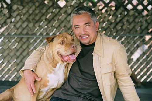 Cesar Millan. Die man is z goed ^^