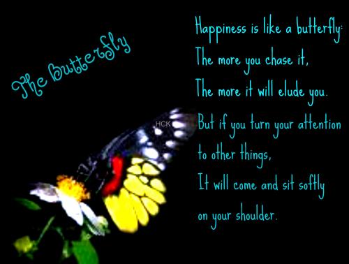 Butterfly