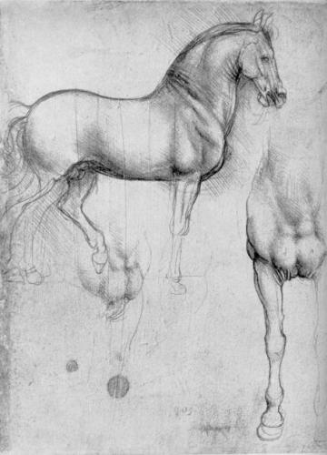 Leonardo Da Vinci, paarden