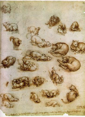 Leonardo Da Vinci, dieren