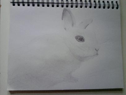 I love my (white) rabit :3 ~~ slechte kwaliteit foto, I know.