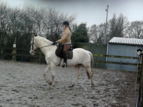 me lieve western pony!