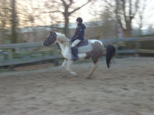 Galop ^^