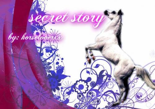 cover secret story